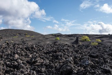 Lanzarote Adası, Kanarya Adaları 'ndaki Timanfaya Ulusal Parkı' nın volkanik manzarası.