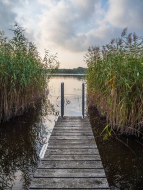 Ruppiner. Brandenburg, Almanya 'da göle bak. .