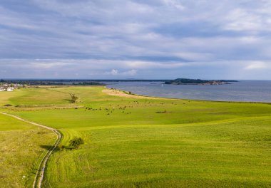 Ruegen, Almanya 'daki Moenchgut bölgesinde insansız hava aracı panoraması .
