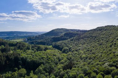Almanya 'da yeşil bir orman üzerine panorama .
