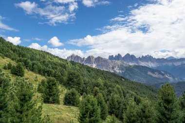 Güney Tyrol, İtalya 'daki Seiser Alm manzara manzarası .
