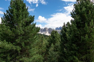 Güney Tyrol, İtalya 'daki Seiser Alm manzara manzarası .
