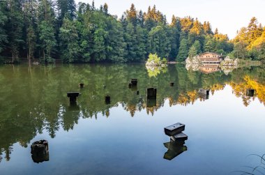 Berglsteiner Gölü. Tyrol Kramsach, Avusturya 'da. .