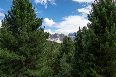 Güney Tyrol, İtalya 'daki Seiser Alm manzara manzarası .