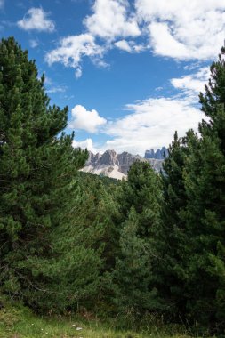 Güney Tyrol, İtalya 'daki Seiser Alm manzara manzarası .