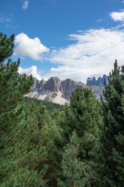 Güney Tyrol, İtalya 'daki Seiser Alm manzara manzarası .