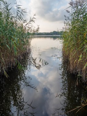 Ruppiner. Brandenburg, Almanya 'da göle bak. .