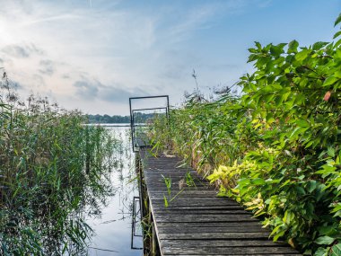 Ruppiner. Brandenburg, Almanya 'da göle bak. .