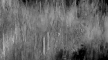 Pencere camındaki yağmur damlaları 