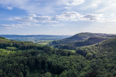 Almanya 'da yeşil bir orman üzerine panorama .