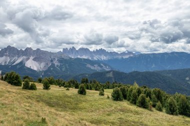Güney Tyrol, İtalya 'daki Seiser Alm manzara manzarası .