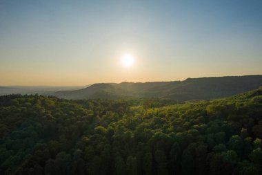 Almanya 'da yeşil bir ormanın üzerinde gün batımı .