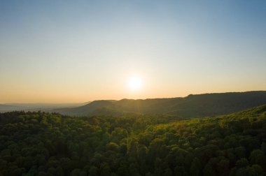 Almanya 'da yeşil bir ormanın üzerinde gün batımı .