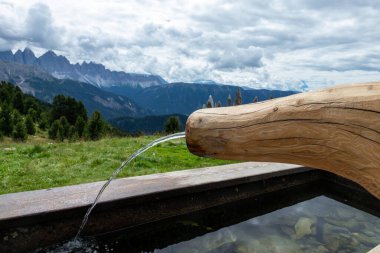 Source in Seiser Alm in South Tyrol, Italy . clipart