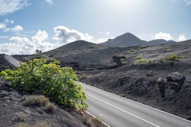Lanzarote Adası 'ndaki Timanfaya Ulusal Parkı' nın volkanik manzarası, Kanarya Adaları ve volkanik topraklardaki üzüm bağlarının yetiştirilmesi.