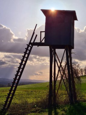 Almanya 'da kır manzarası güneşli