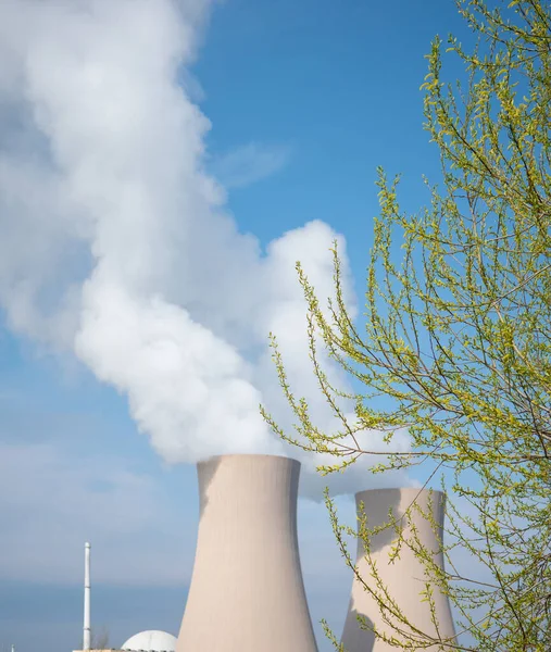 Гілка Зеленим Листям Проти Атомної Електростанції — стокове фото