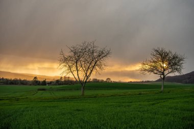 Almanya 'nın güneşli kır manzarası