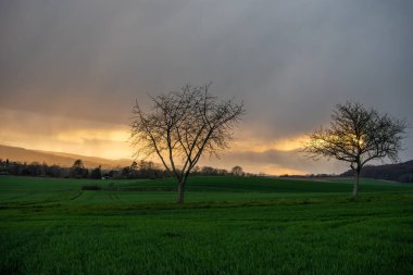 Almanya 'da kır manzarası güneşli