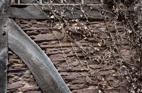 Стара Старовинна Цегляна Стіна Суха Плюща — стокове фото