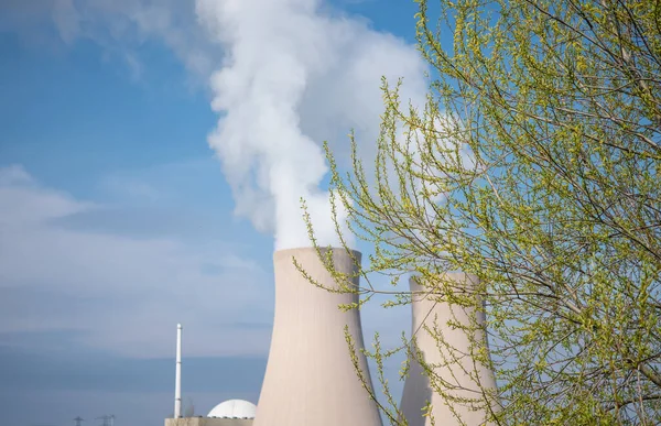 Ramo Con Foglie Verdi Contro Centrale Nucleare — Foto Stock