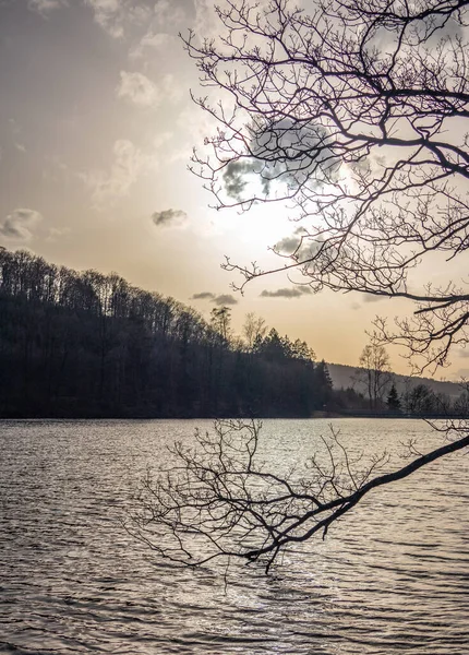 Lake Jubachtalsperre Forest Winter Sauerland Germany — Stock Photo, Image