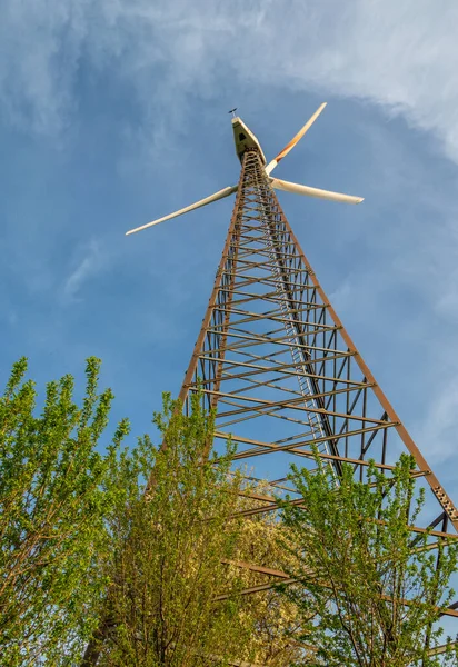 Windmühle Und Grüne Zweige Gegen Blauen Himmel Sonnenschein — Stockfoto