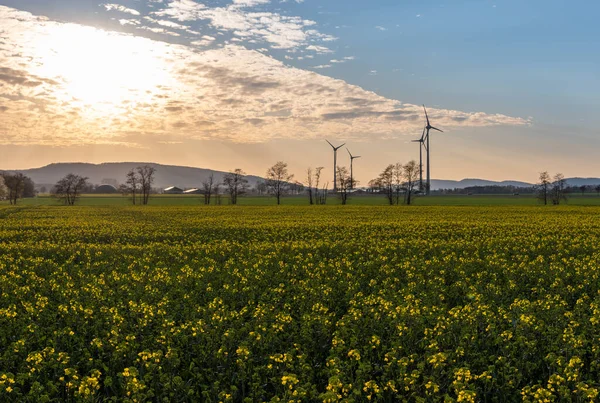 Paisaje Rural Bajo Sol Alemania — Foto de Stock