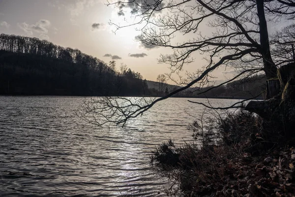 Lake Jubachtalsperre Forest Winter Sauerland Germany — Stock Photo, Image