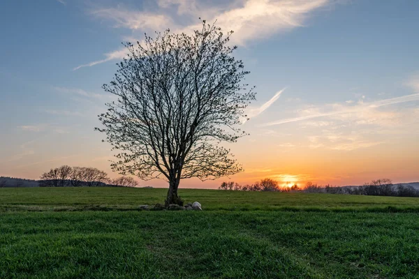 Paisaje Rural Bajo Sol Alemania — Foto de Stock