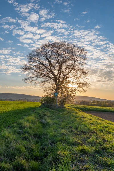 Krajina Slunci Německu — Stock fotografie