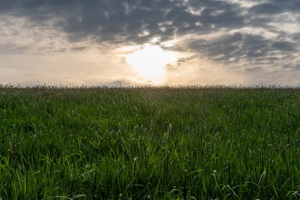 Paisaje Rural Bajo Sol Alemania — Foto de Stock