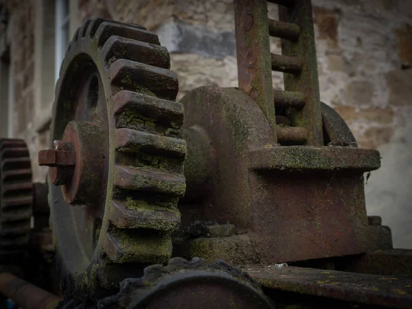 Pinion Gear Vintage Mechanism — Stock Photo, Image