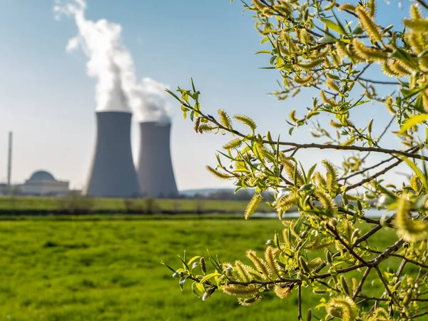 Ветка Зелеными Листьями Против Плана Атомной Энергетики — стоковое фото