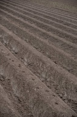 Güneş ışığındaki tarıma elverişli toprakların arka planı