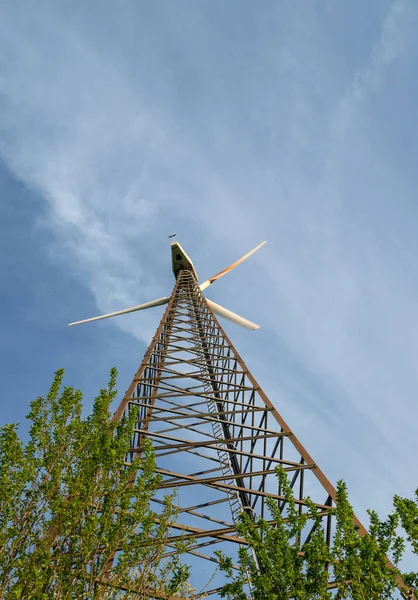 Molino Viento Ramas Verdes Contra Cielo Azul Sombrilla — Foto de Stock