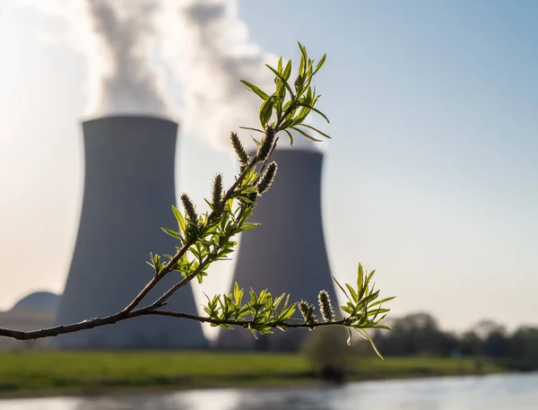 Отделение Зелеными Листьями Против Атомной Электростанции Реки — стоковое фото