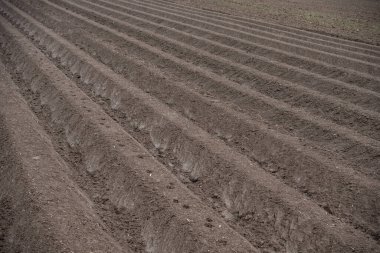 Güneş ışığındaki tarıma elverişli toprakların arka planı