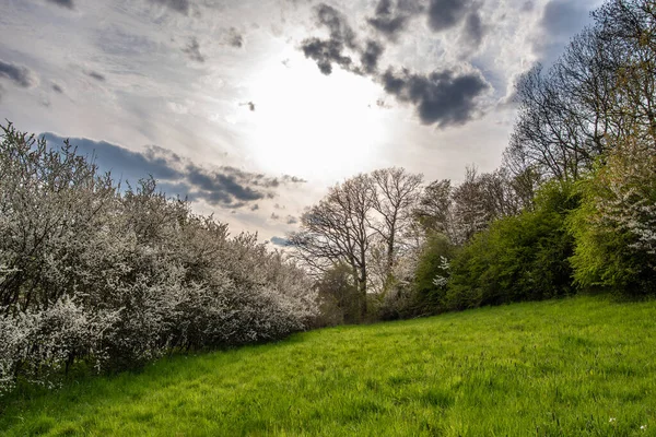 Paisaje Rural Bajo Sol Alemania — Foto de Stock