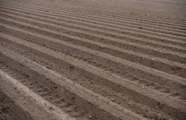 Güneş ışığındaki tarıma elverişli toprakların arka planı