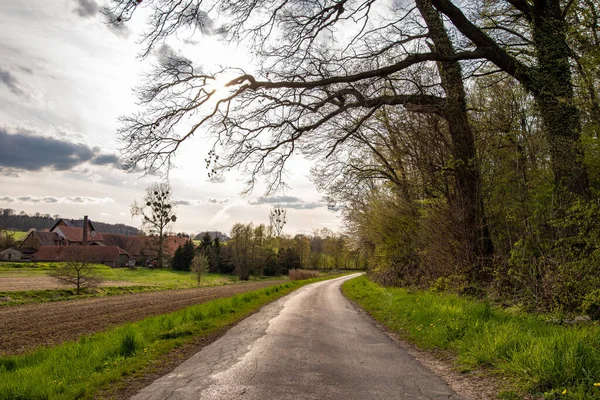 Paisaje Rural Bajo Sol Alemania — Foto de Stock