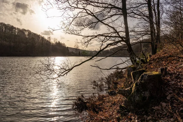 Lago Jubachtalsperre Floresta Inverno Sauerland Alemanha — Fotografia de Stock