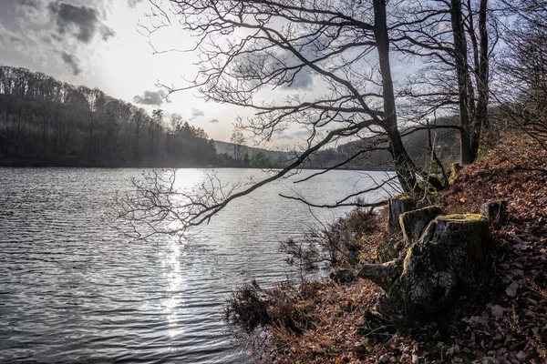 Jubachtalsperre Lese Zimě Sauerlandu Německo — Stock fotografie