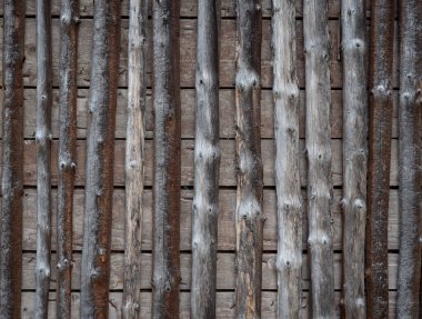 Ahır kütüklerinin ahşap duvarı.