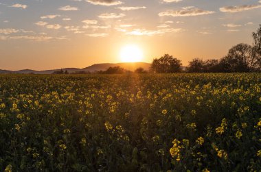Almanya 'da kır manzarası güneşli