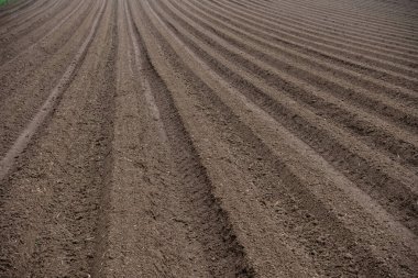 Güneş ışığındaki tarıma elverişli toprakların arka planı