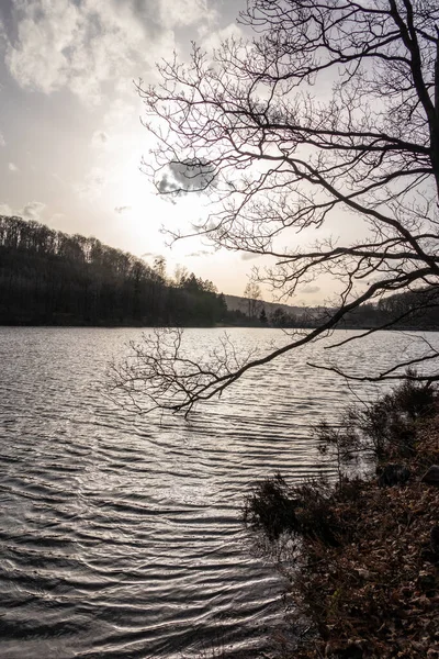 Lake Jubachtalsperre Forest Winter Sauerland Germany — Stock Photo, Image