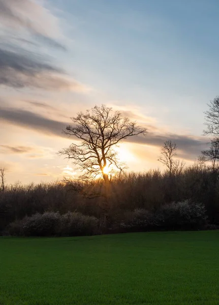 Paisaje Rural Sol Alemania — Foto de Stock