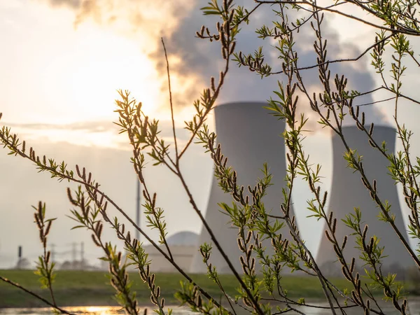 Filial Med Gröna Blad Mot Kärnkraftverk Och Rive — Stockfoto
