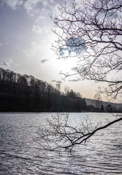 Lake Jubachtalsperre Forest Winter Sauerland Germany — Stock Photo, Image